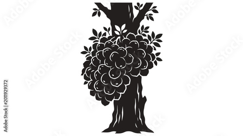 Black silhouette of large fruiting tree with clusters of round tropical fruits on white background