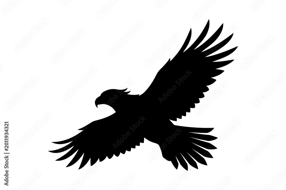 Fototapeta premium Eagle silhouette flying with wings spread wide against white background.