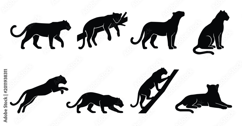 Fototapeta premium Set of Eight Black Panther Silhouettes in Various Poses Isolated on White Background 