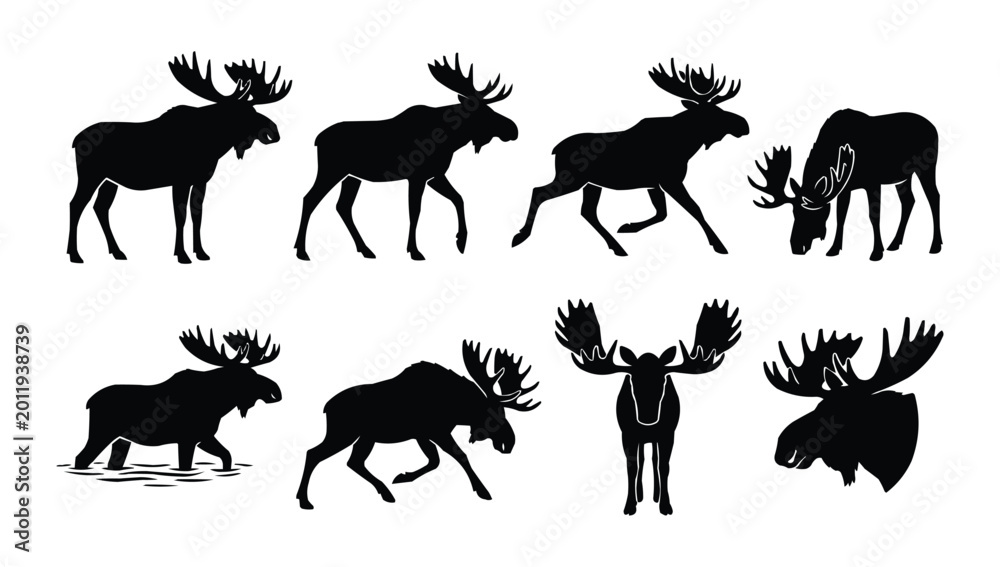 Obraz premium Set of Eight Black Moose Silhouettes in Various Poses Isolated on White Background