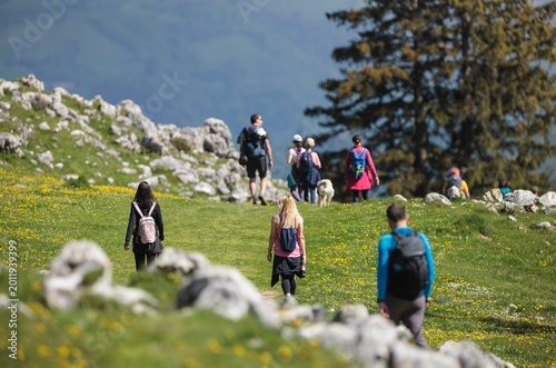 Принти на полотні A group of hikers ventures along a scenic trail surrounded by rocky terrain and vibrant flowers