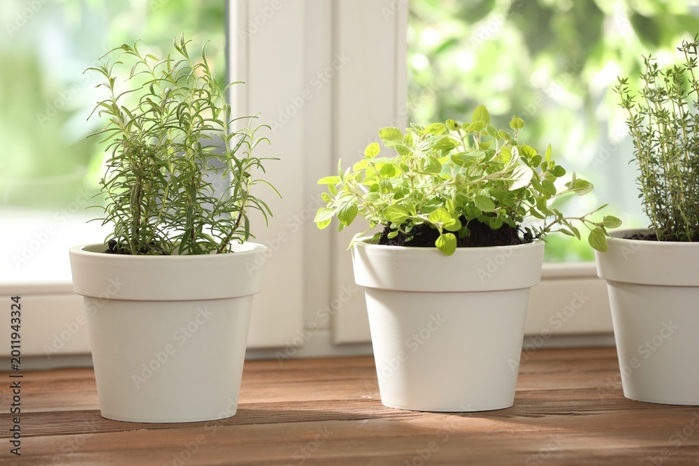 Fototapeta premium Different aromatic herbs in pots on wooden table near window indoors