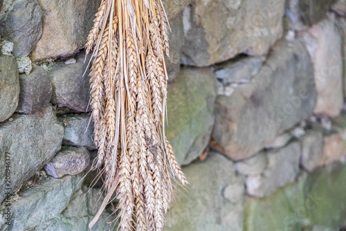Bild auf Leinwand Dried wheat bundle against stone wall