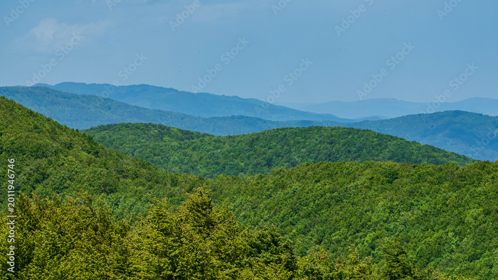 Fototapeta premium Lush green forested hills under a blue sky