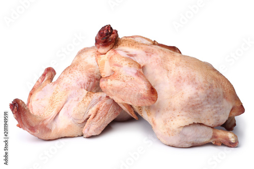 Принти на полотні Raw chickens
