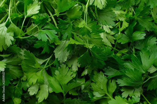 Tableau sur toile Close up of green parsley background