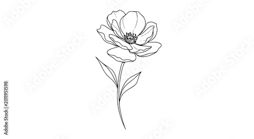Quadro em tela Detailed drawing of a single flower.