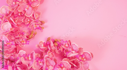 Cuadro en lienzo A soft, feminine flat lay featuring delicate pink blossoms arranged on a harmonious pink background with generous copy space
