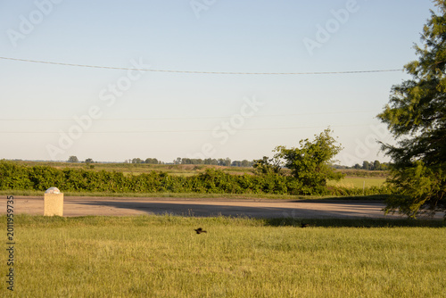 Rural asphalt country highway running past an open green grass field pasture. Scenic wide angle landscape featuring a light utility concrete structure box and a dense background forest tree line under