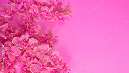 Foto A soft, feminine flat lay featuring delicate pink blossoms arranged on a harmonious pink background with generous copy space