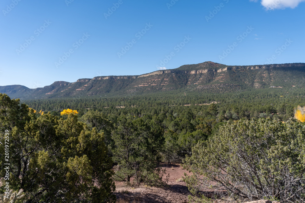 Obraz premium Pecos National Historical Site, View from Ancestral Sites Trail of Glorieta Mesa, Glorieta Pass, and Sangre de Cristo Mountains. Golden cottonwood trees in the autumn.