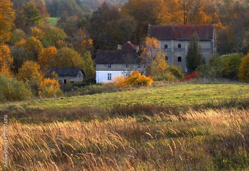 Foto Aerial view of an old mill nestled in a valley covered in dense autumn trees