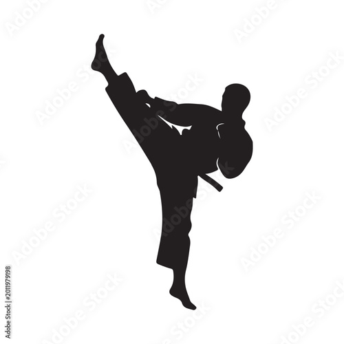Slika na platnu Martial arts fighter silhouette performing a high kick