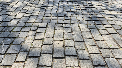Foto A wide perspective shot of a grey cobblestone or stone paver walkway with irregular textures and shadows from nearby trees stretching across the surface