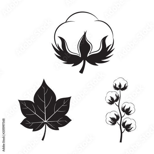 Foto Cotton boll cotton plant branch and leaf silhouette vector