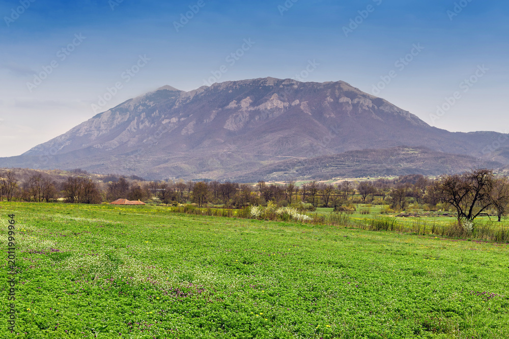 Fototapeta premium Expansive green meadow in a rural landscape, foregrounding a large mountain range under a clear blue sky, evoking nature and serenity