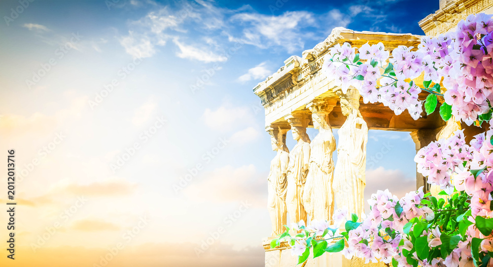 Fototapeta premium details of Erechtheion temple in Acropolis of Athens with flowers, Greece, web banner format