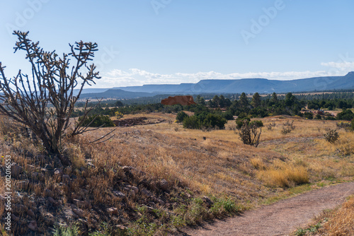 Fotografia Pecos National Historic Park in New Mexico