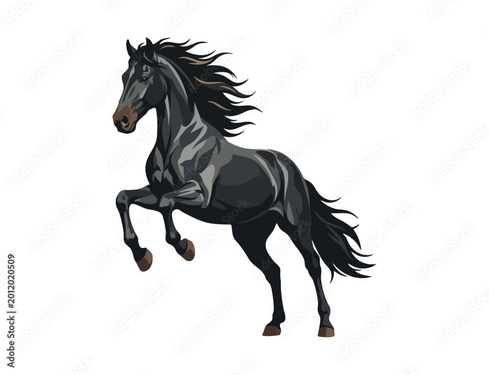 Fototapeta premium Powerful Black Stallion Horse Galloping Action Silhouette