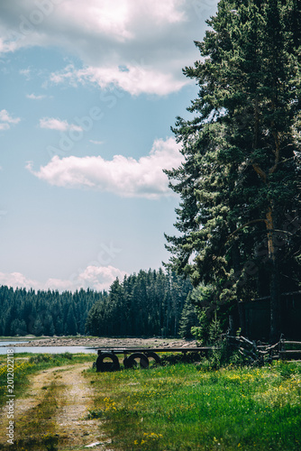 Peaceful lakeside meadow with dirt path, rustic wooden structure and tall pine tree, scenic forest landscape under blue sky with clouds, natural countryside environment
