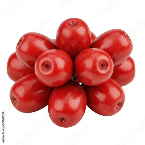 A cluster of red cranberries on a white background