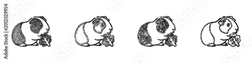 Konstfotografi Sketch guinea pig eating icon design set