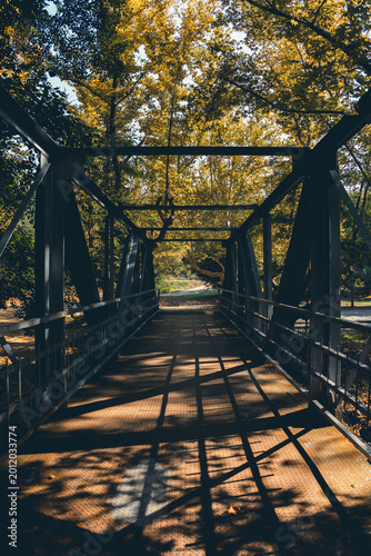 Symmetrical view of a metal pedestrian bridge surrounded by forest, with sunlight filtering through autumn trees creating strong geometric shadows on the walkway. Peaceful outdoor scene with leading l