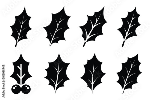 Foto holly leaf silhouette icon set in black color on white background
