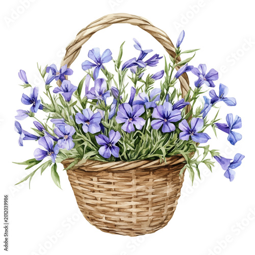 Slika na platnu Lobelia Bouquet In A Basket, watercolor vector portraying a joyful pose with colorful highlights, isolated on a white background