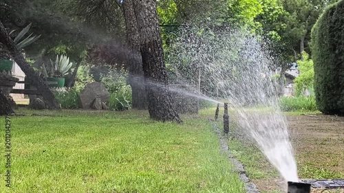 Garden irrigation with automatic sprinkle.