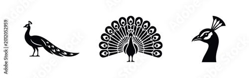Photos Set of three minimalist black peacock silhouettes featuring a profile, fanned tail, and head close-up