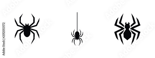 Bild auf Leinwand Set of black spider silhouettes and icons isolated on white, featuring varied leg styles and a hanging spider