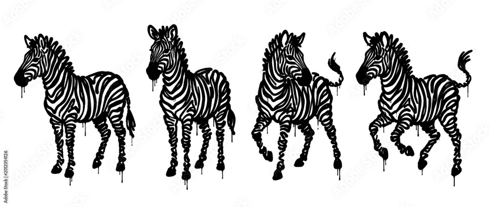 Fototapeta premium zebra , spray paint style , vector 