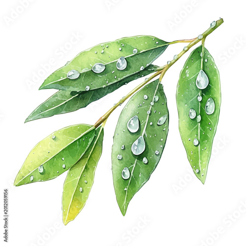 Foto Dewy Green Spring Leaves, detailed watercolor painting, isolated on a white background