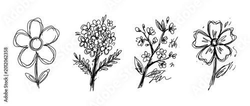 blossom , pen scribble , kid Hand drawn , vector