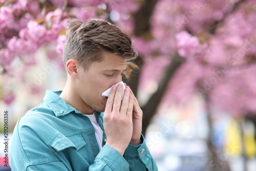 Obraz na plátně Man with paper tissue suffering from seasonal pollen allergy near blossoming tre