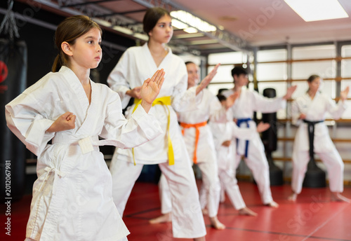 Quadro su tela Group of children and teenagers practicing karate technique in gym