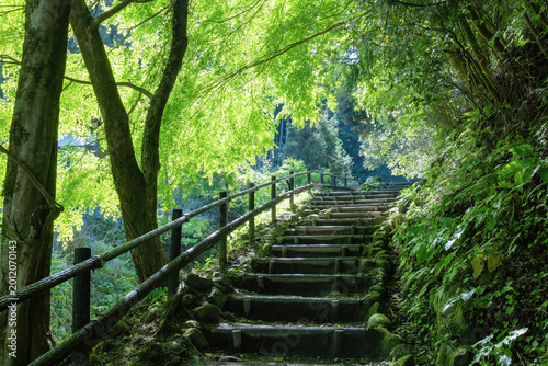 熊野磨崖仏への参道
