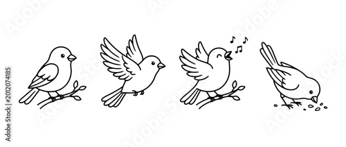 An engaging depiction of birds in various poses illustrated in simplistic black lineart, celebrating avian diversity and their expressive behaviors in nature.