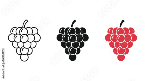 three stages of grape ripening from green to red flat design vector illustration