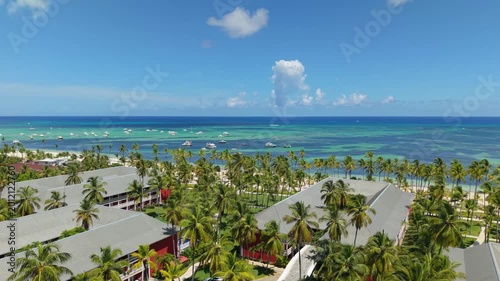 aerial view of beach and coconuts punta cana, Dominican Republic