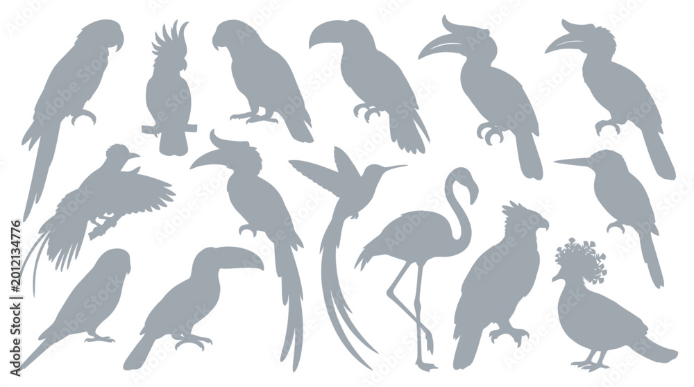 Fototapeta premium Collection of various exotic tropical birds silhouettes on a white background.