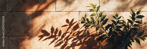 Green leafy plant casting long dramatic shadows on warm beige stone tile wall during golden hour sunset with soft natural lighting creating a minimalist Mediterranean aesthetic atmosphere