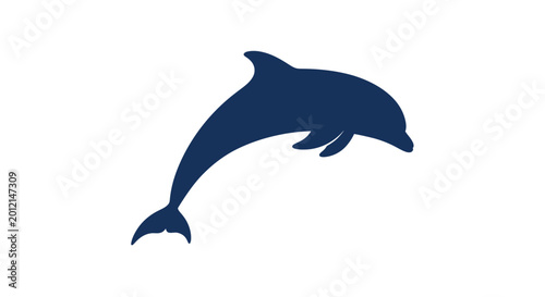 Slika na platnu Dolphin jumping out of water.