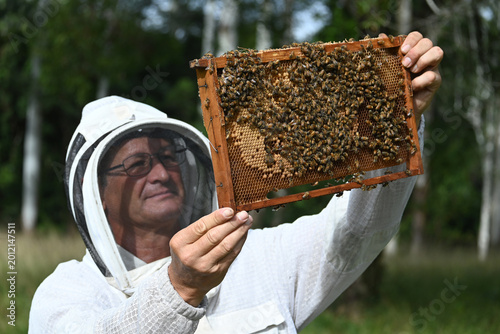 Beekeeper apiarist manages honeybee colonies in hives