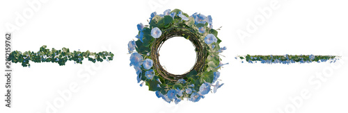 Tableau sur toile Ipomoea nil tree plan, top view, cutout, transparent background, isolate, Close-up of a single lavender sprig on a white background, perfect for floral design and natural themes