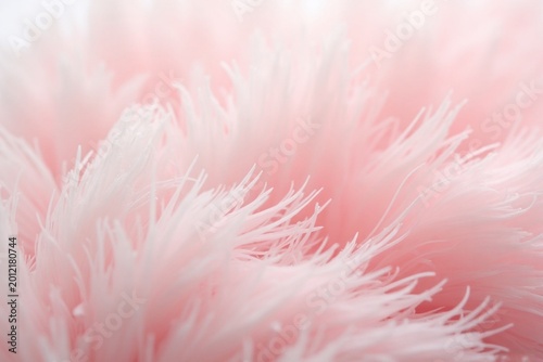 Elegant Pink Feather Background, Light Airy Swan Feather Texture