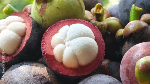 Schilderij op canvas Mangosteen fruits in the basket.