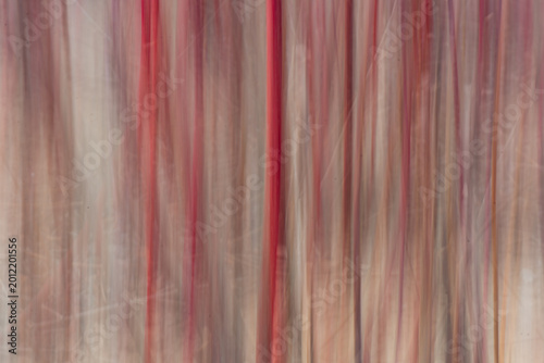 Abstract Motion Blur of Red Twig Dogwood Branches