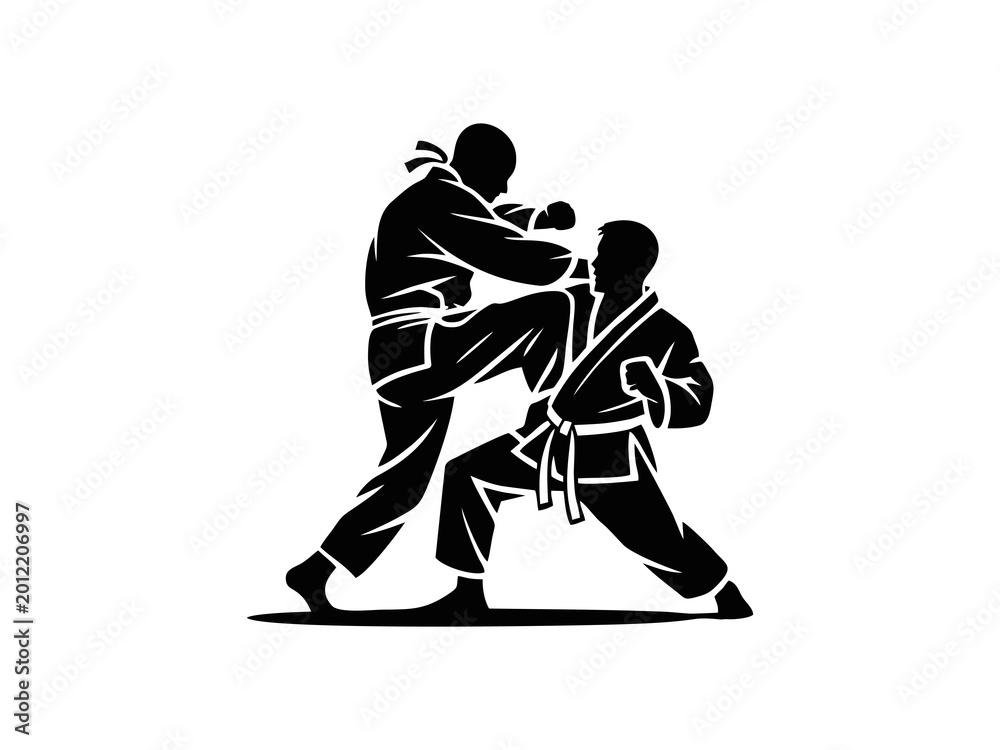 Obraz premium Martial Arts Training Session